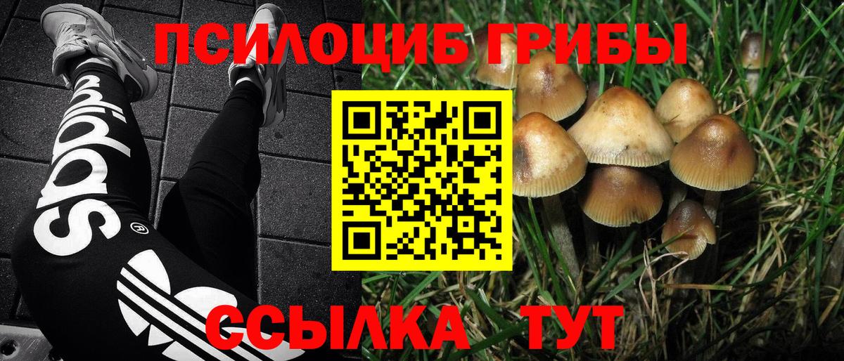 наркотики  Псилоцибиновые грибы мицелий  Галлюциногенные грибы мухоморы  Вход с VPN  Октябрьский 